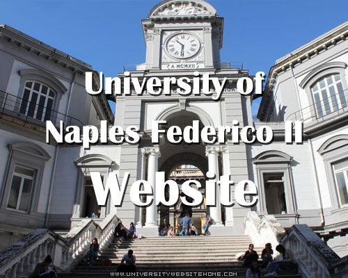 University of Naples Federico II Website
