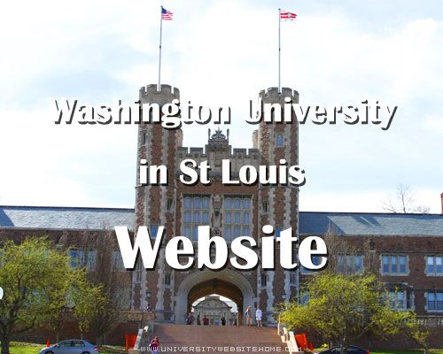Washington University in St Louis Website